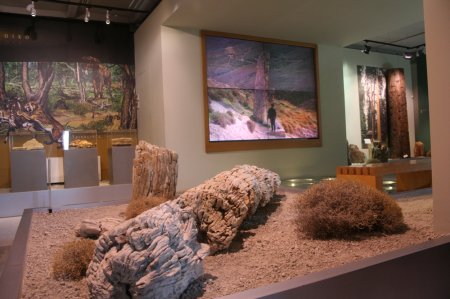 Μουσείο Φυσικής Ιστορίας  Απολιθωμένου Δάσους Λέσβου