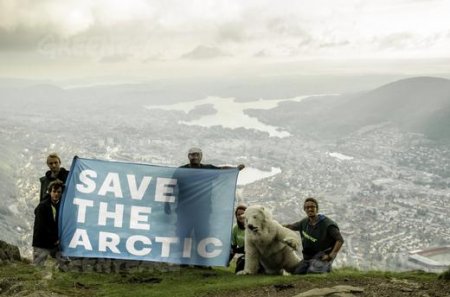 74% των πολιτών ζητούν την προστασία της Αρκτικής