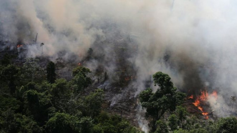 Πυρκαγιές στον Αμαζόνιο & διώξεις ακτιβιστών 