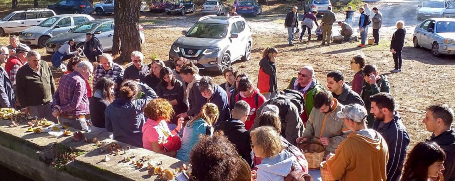 Γιορτή μανιταριών 2019