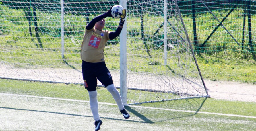 ΔΗΜΗΤΡΗΣ ΑΠΟΣΤΟΛΕΛΛΗΣ  