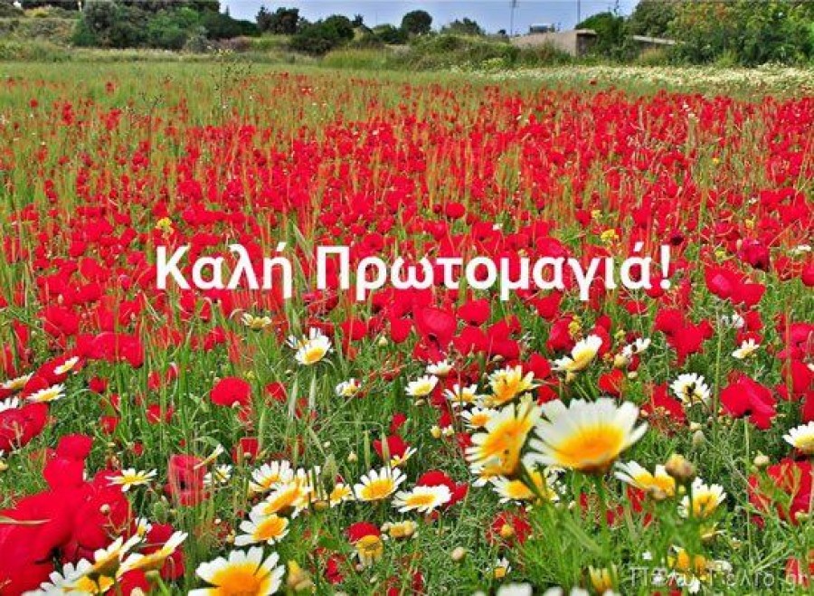 Χάνουμε την ομορφιά και το ξύπνημα της φύσης
