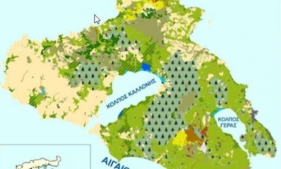 Πρόταση για την προστασία των δασών της Δυτικής Λέσβου