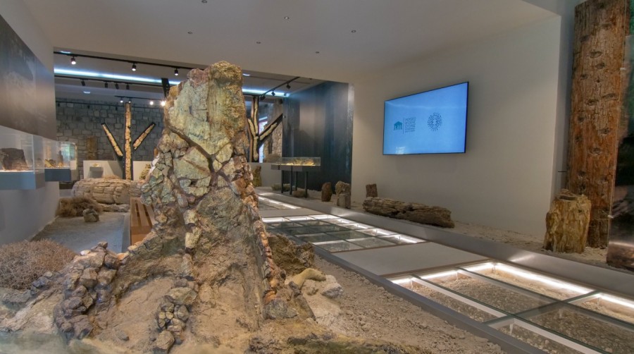 Το Μουσείο Φυσικής Ιστορίας Απολιθωμένου Δάσους Λέσβου 