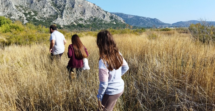 Στον καλαμιώνα Γέρας   