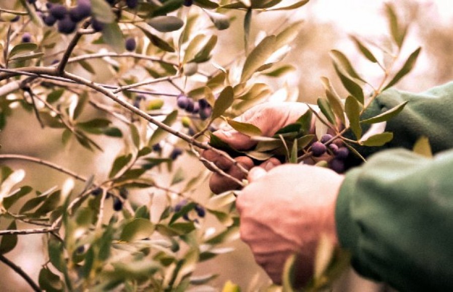 Αποζημίωση κρατικών ενισχύσεων