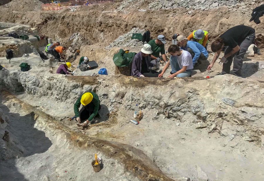 Στο Γεωπάρκο Λέσβου