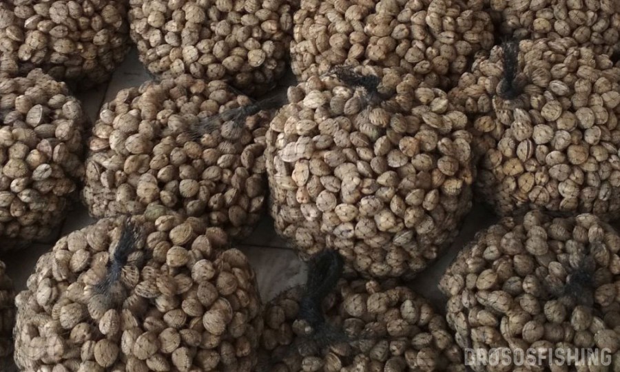 Εκτός λειτουργίας ο αναλυτής