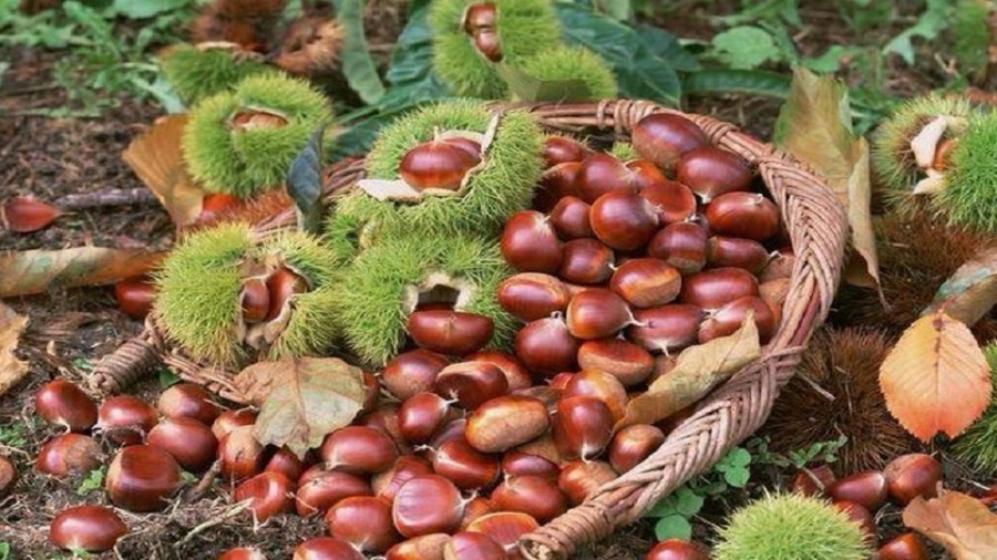 Από το Υπουργείο Αγροτικής Ανάπτυξης & Τροφίμων