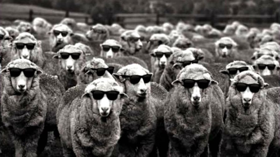 Μάζες & ύστατη μάχη 