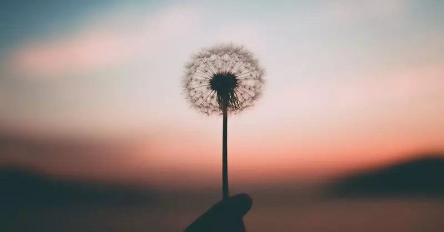 Το πραγματικό νόημα της ζωής