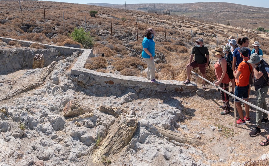 Ανακαλύπτοντας το Πάρκο του Απολιθωμένου