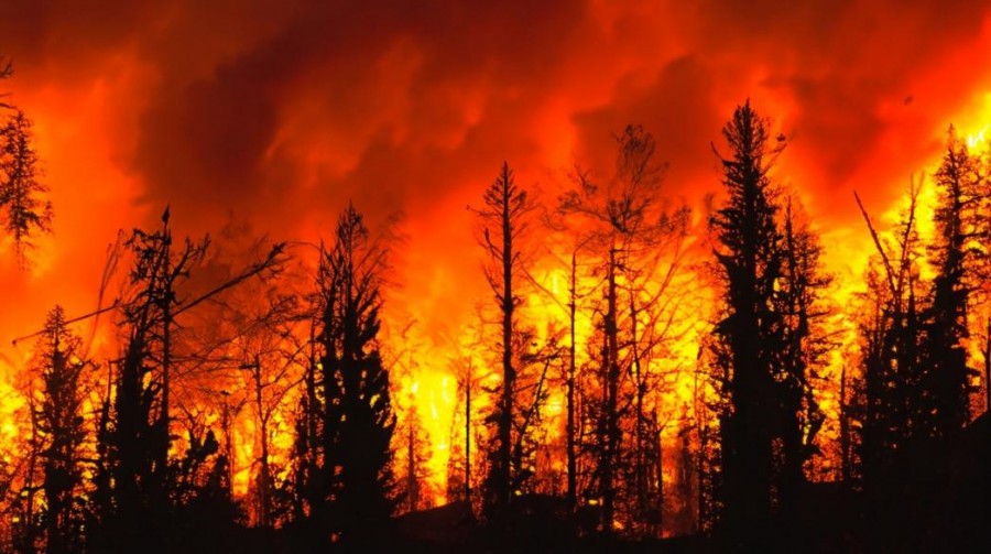 Αντιμετώπιση δασικών πυρκαγιών      
