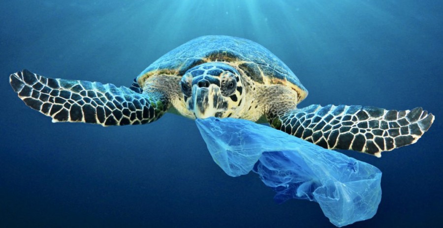 9η Διεθνής Διάσκεψη για τους Ωκεανούς στην Ελλάδα