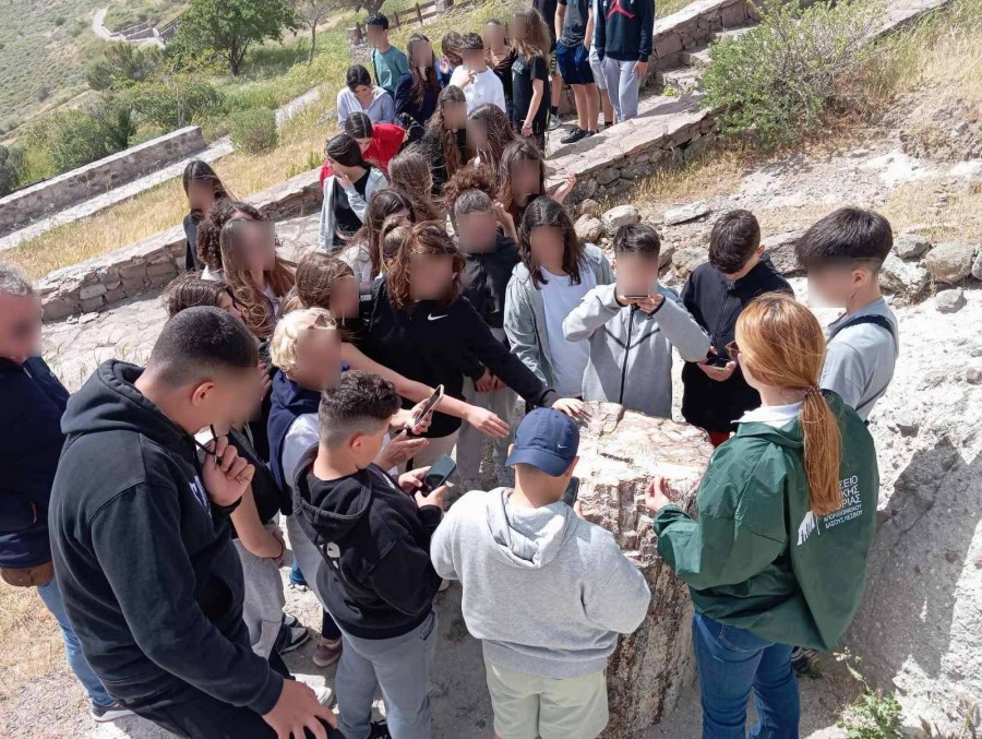 Στο Απολιθωμένο δάσος   