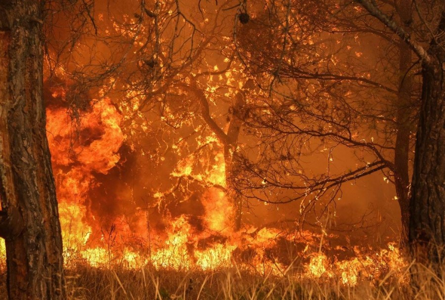 Απάντηση με ΚΥΑ στην ερώτηση Π. Παρασκευαΐδη για τους πυρόπληκτους   