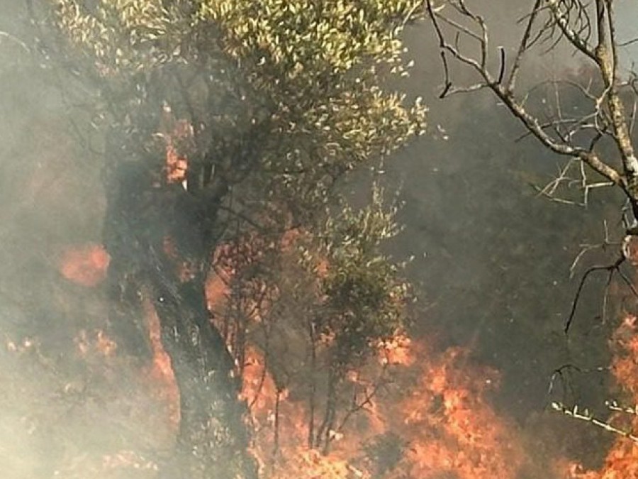 Φωτιά μεταξύ Θερμής & Πηγής
