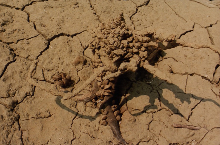 Στο ΥΠ.Α.Α.Τ. για την ένταξη εγγειοβελτιωτικών έργων των νησιών μας σε πρόγραμμα