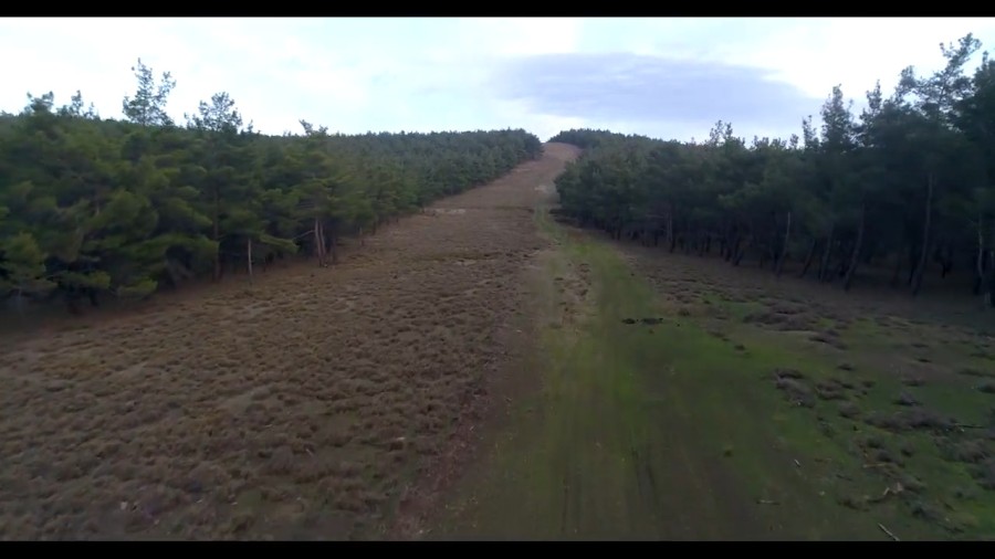Πέριξ οικισμών εντός ή πλησίον δασών
