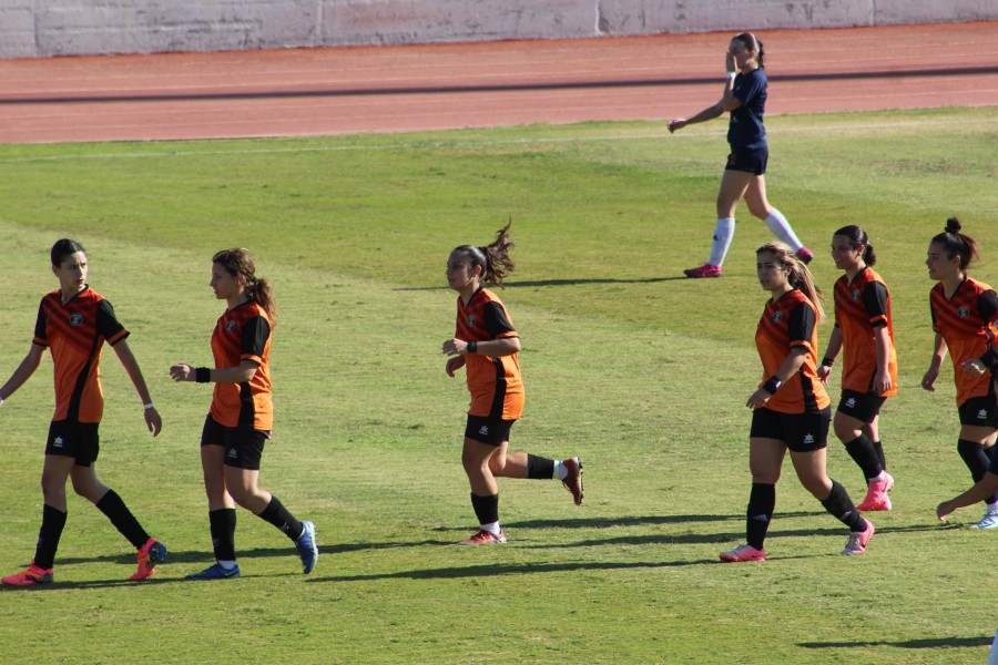 ΣΑΠΦΩ ΚΥΠΕΛΛΟ