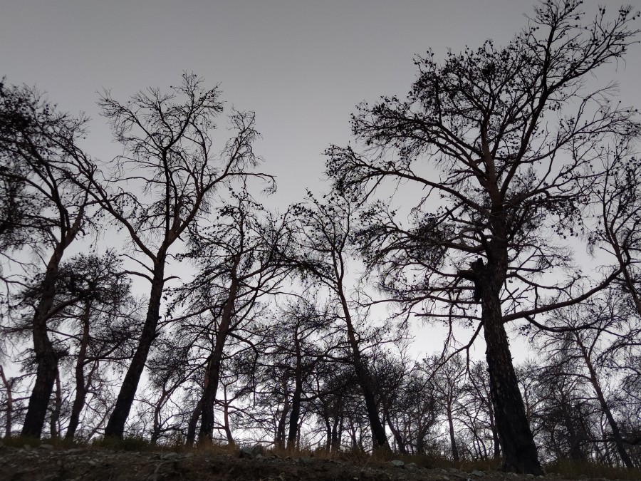 Η πυροπροστασία στο Δημοτικό Συμβούλιο Μυτιλήνης