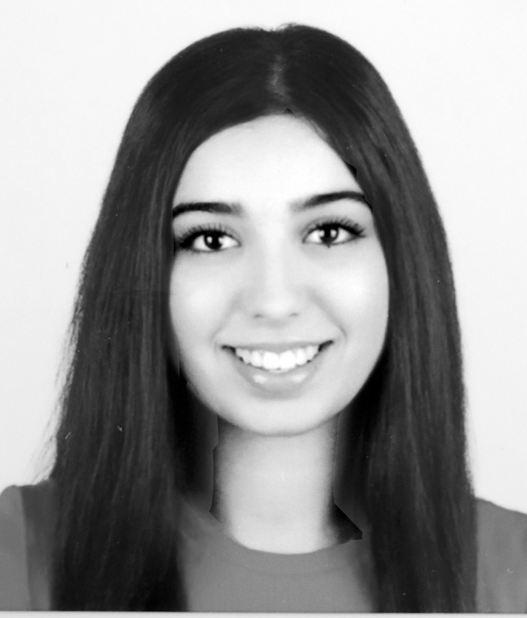 Άριστες επιδόσεις 