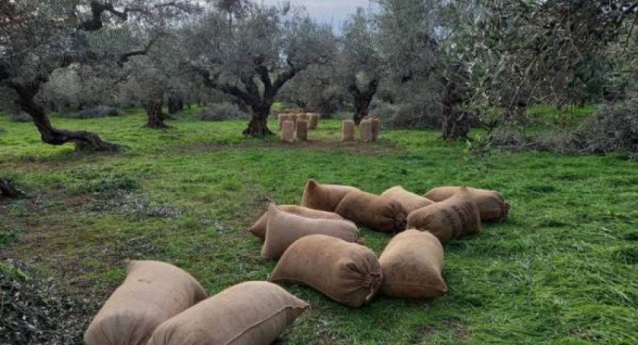 Η λίστα των παράνομων επιδοτήσεων του ΟΠΕΚΕΠΕ