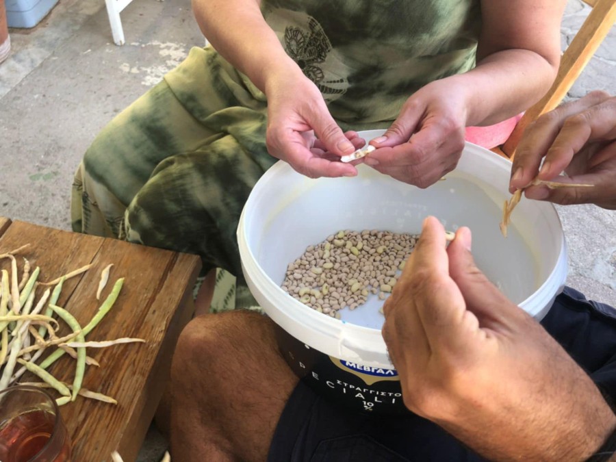 Συνάντηση στη Λέσβο από το Δίκτυο