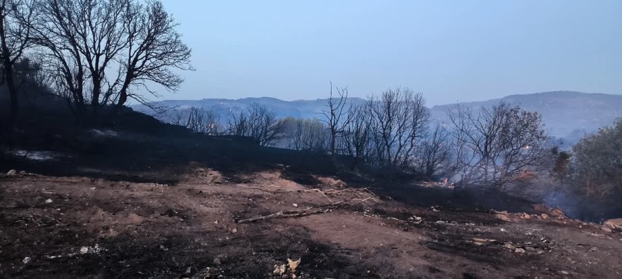 Απολογισμός πυρκαγιάς