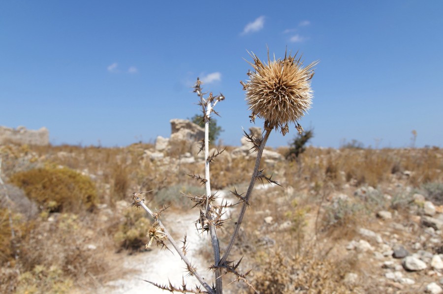 Πού κατατάσσει η ομάδα Meteo Gr του Εθνικού Αστεροσκοπείου Αθηνών την Λέσβο;