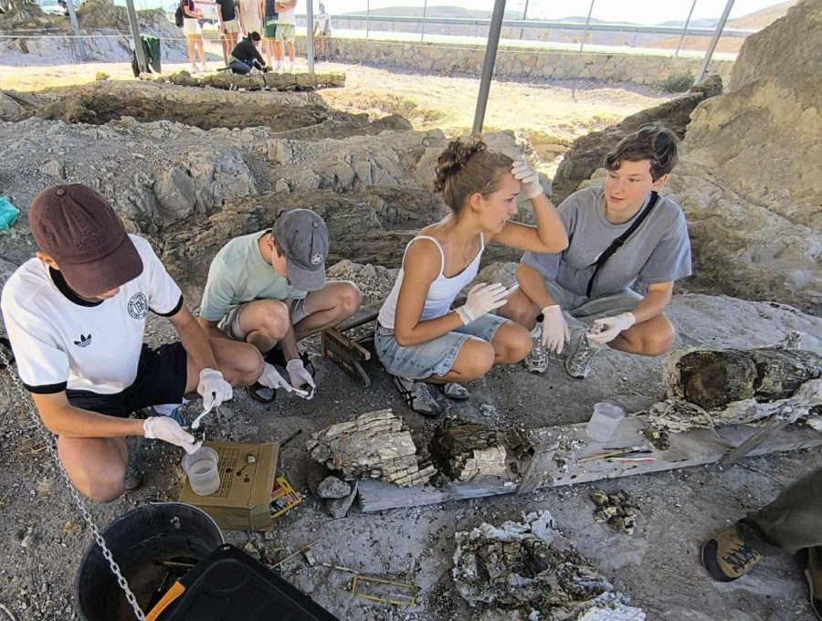 Το γεωπάρκο & το απολιθωμένο