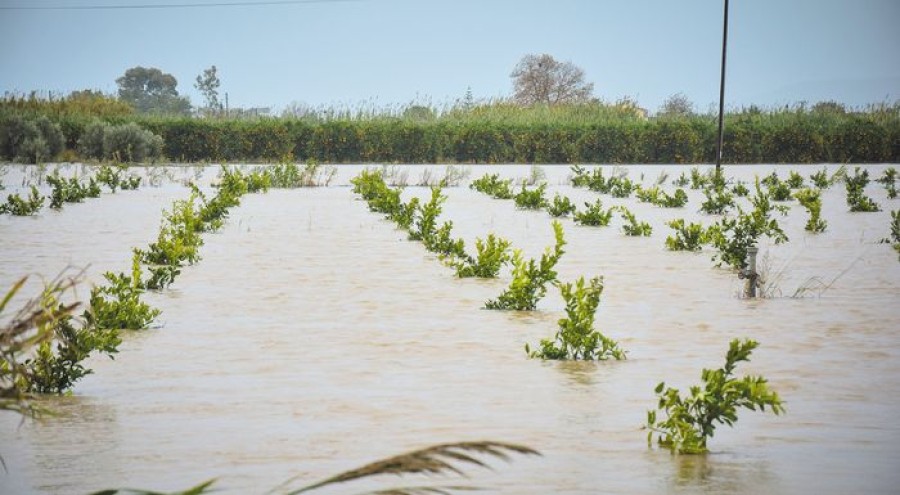 Πίνακας προσωρινών αποτελεσμάτων