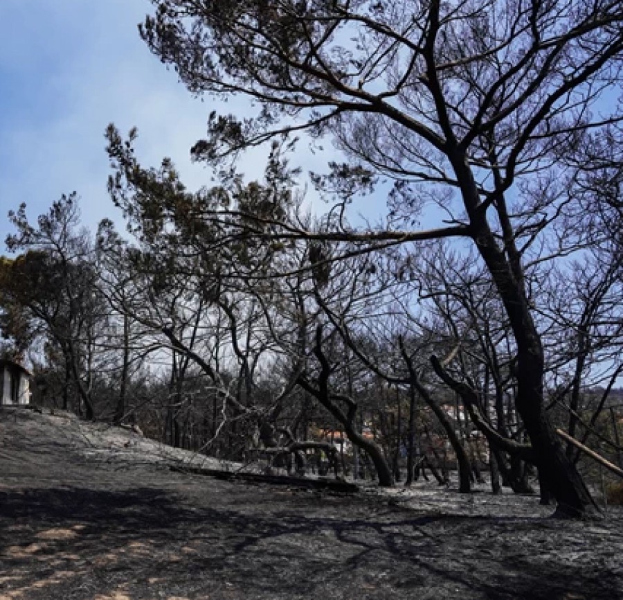 Οι πυρόπληκτοι της Βρίσας περιμένουν τις αποζημιώσεις