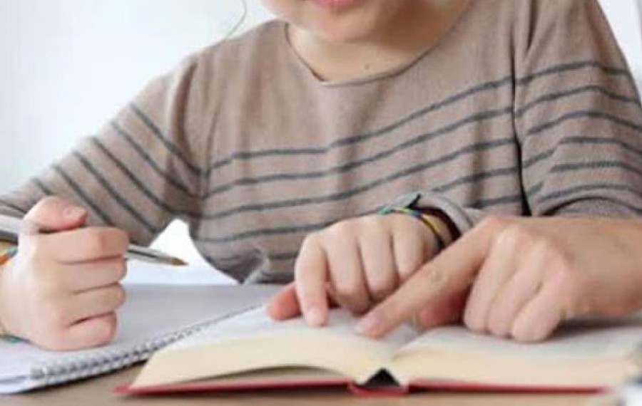 Παράλληλη στήριξη