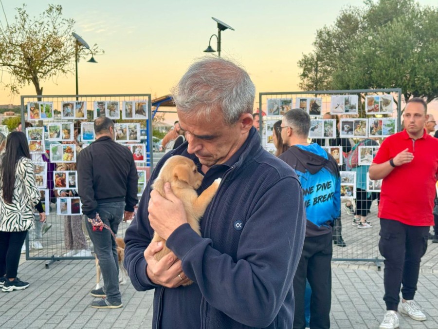 Παγκόσμια ημέρα ζώων