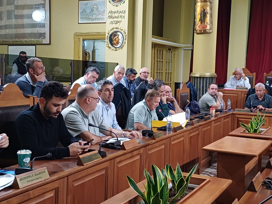 Μέρος μετοχών της Δ.Ε.Δ.Α.Π.Α.Λ . Α.Ε.