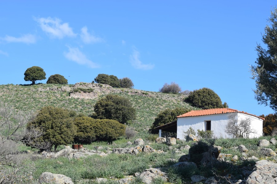 Αρχαία Αρίσβη