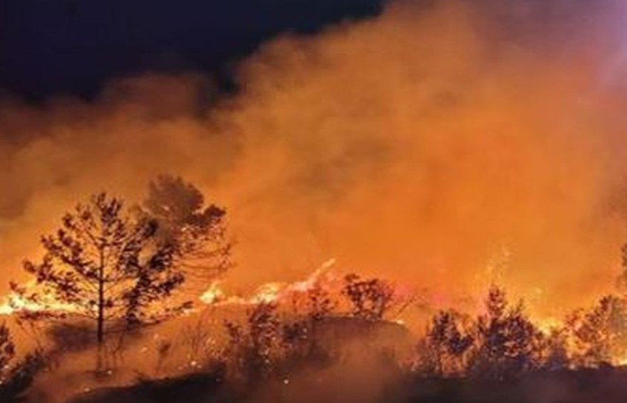 Από το Πανεπιστήμιο Αιγαίου