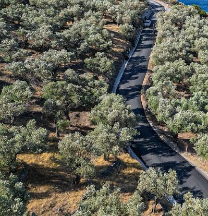 Στο δρόμο για το Τάρτι