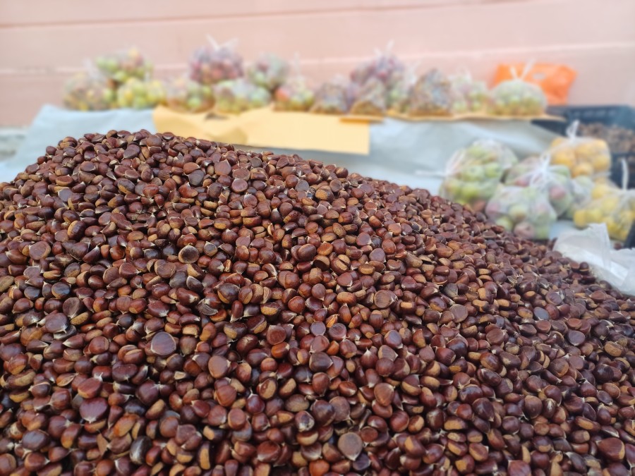 Γιορτή κάστανου στην Αγιάσο