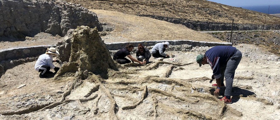 Κατά μήκος του Ο.Α. Καλλονής-Σιγρίου