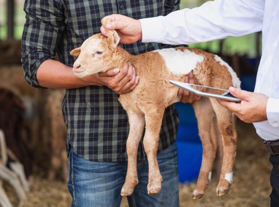 Επιπλέον 7 ζητά η Περιφέρεια