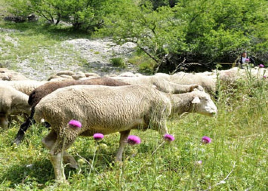Ως το τέλος Νοεμβρίου