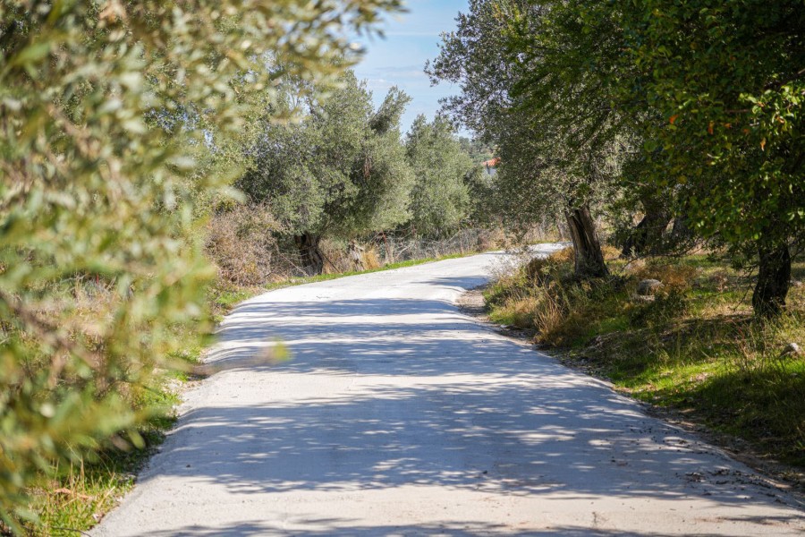 Έργο βελτίωσης