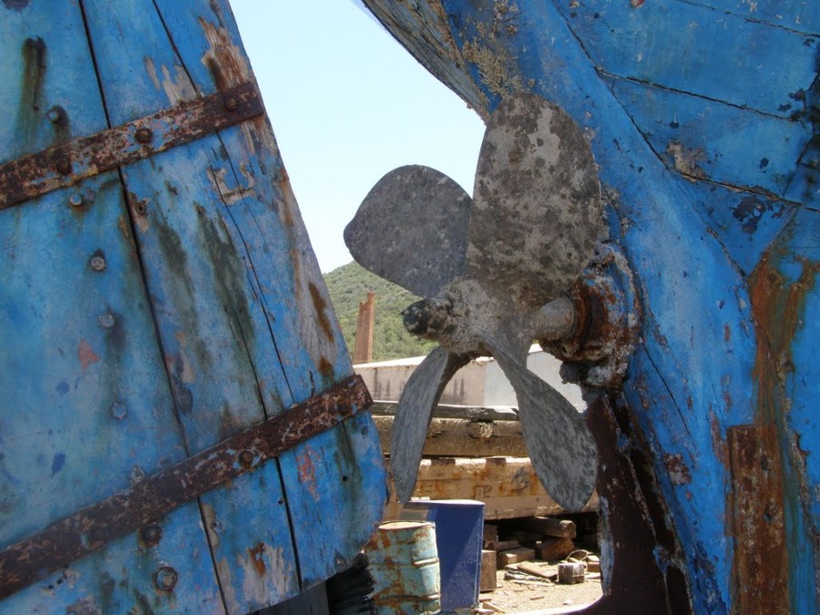 Στόχος η προστασία των καρνάγιων