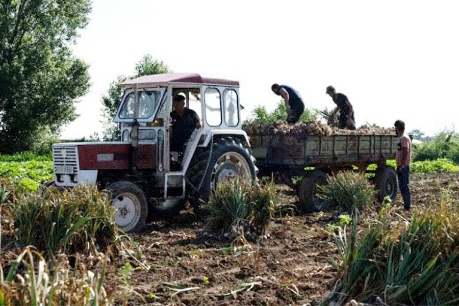 Δεν ικανοποιεί η στήριξη του πρωτογενούς τομέα