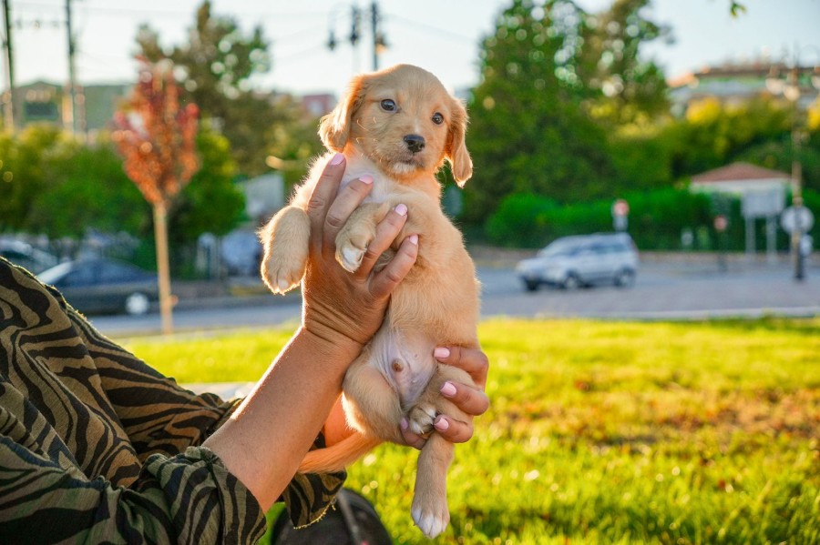 Ετήσια στατιστικά στοιχεία