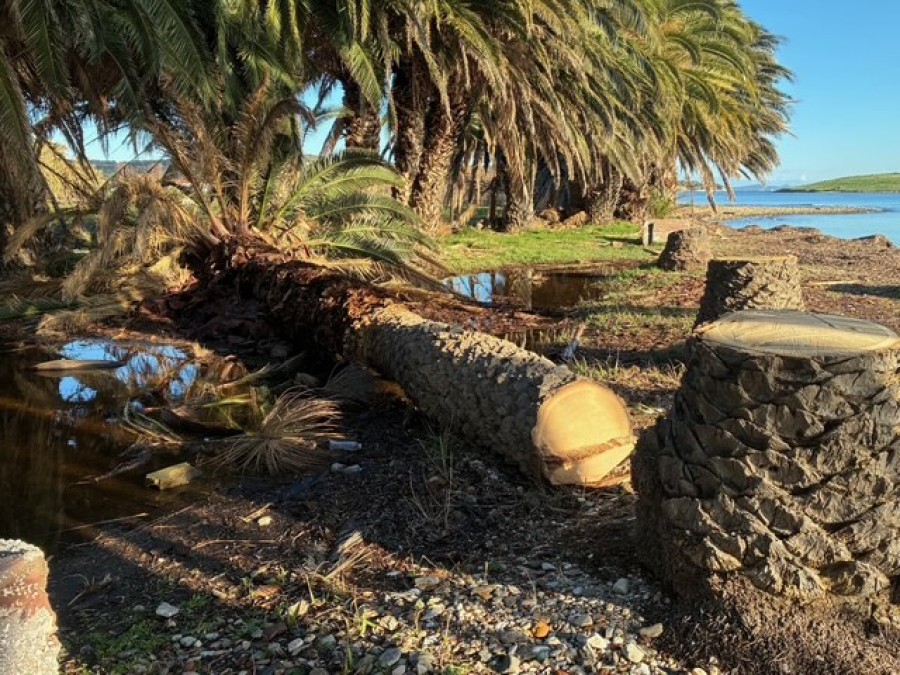 Η κοινότητα Παναγιούδας 