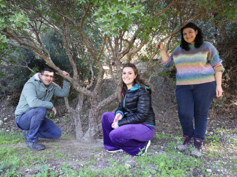 Έναρξη μαθημάτων