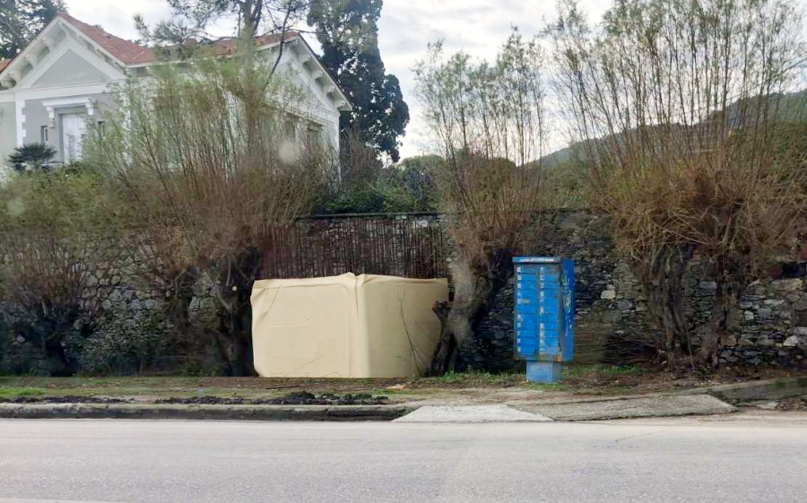 Βιολογικός νοτιόχωρων